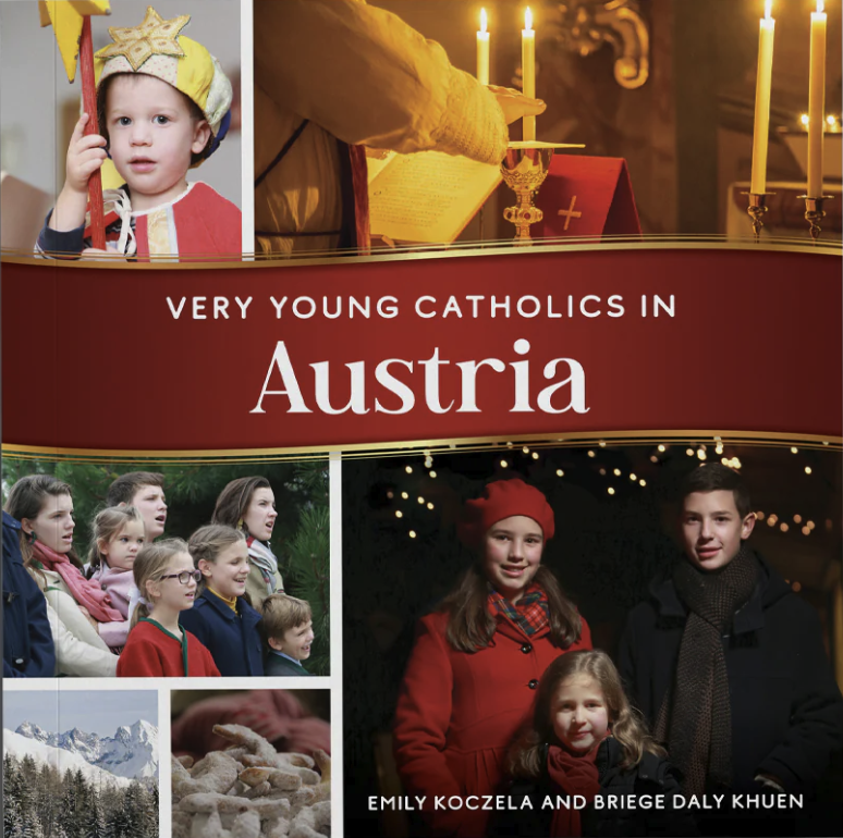 Cover of The Very Young Catholics In Austria Book